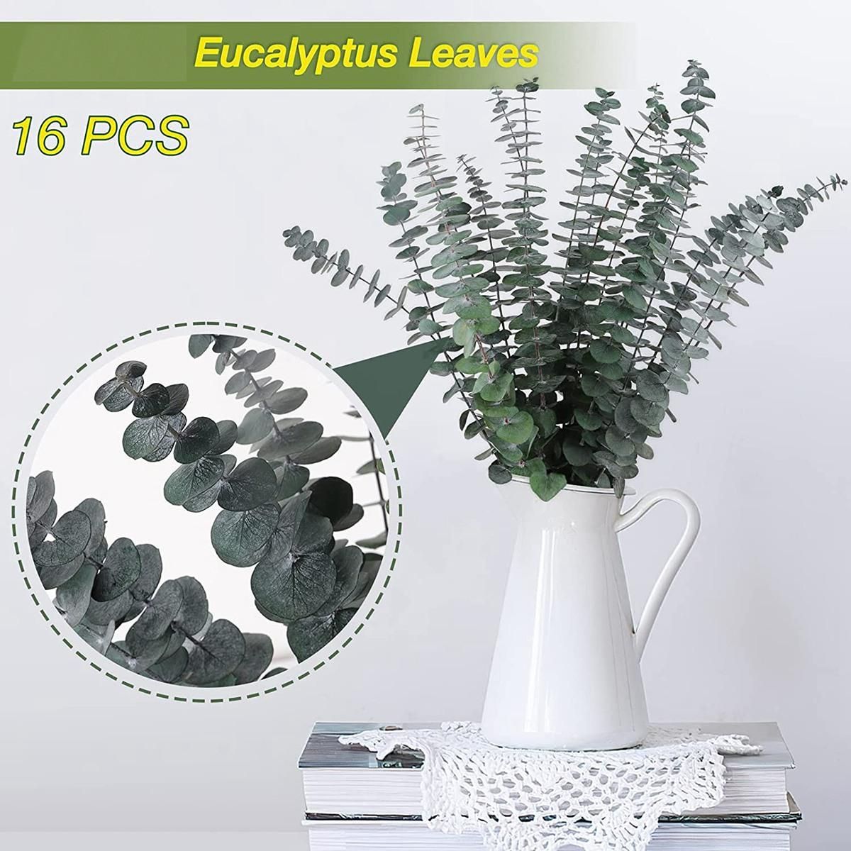 16Pcs-Preserved-Dried-Eucalyptus-Branches  17In Fresh Eucalyptus Plant for Shower  Real Eucalyptus Bunch for Vase Filler
