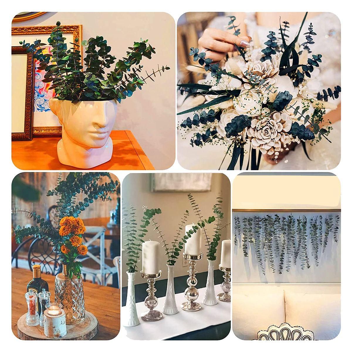16Pcs-Preserved-Dried-Eucalyptus-Branches  17In Fresh Eucalyptus Plant for Shower  Real Eucalyptus Bunch for Vase Filler