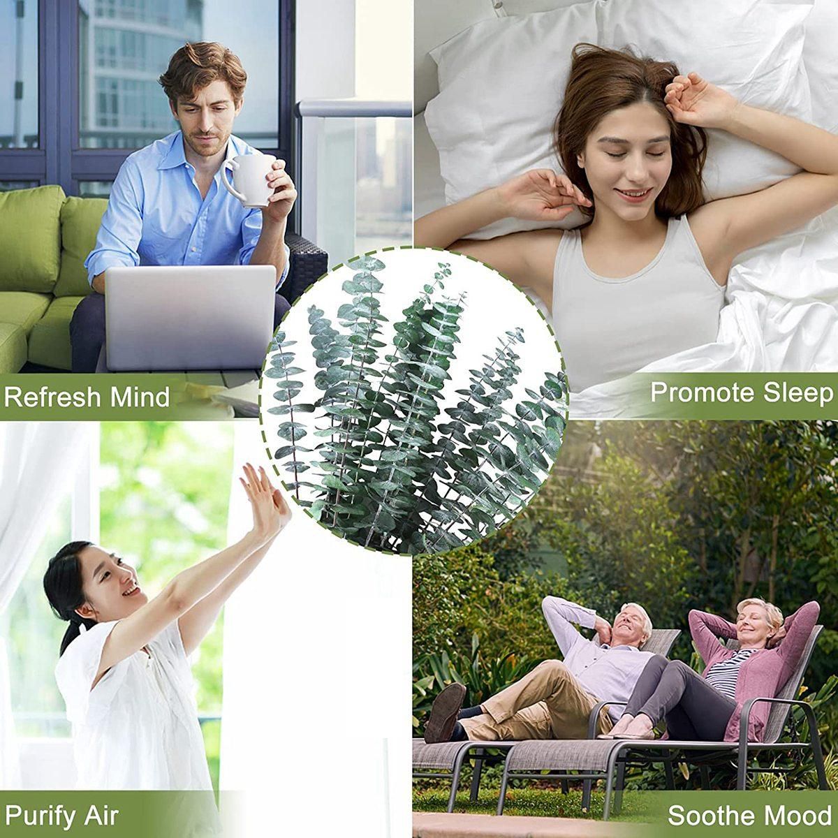 16Pcs-Preserved-Dried-Eucalyptus-Branches  17In Fresh Eucalyptus Plant for Shower  Real Eucalyptus Bunch for Vase Filler