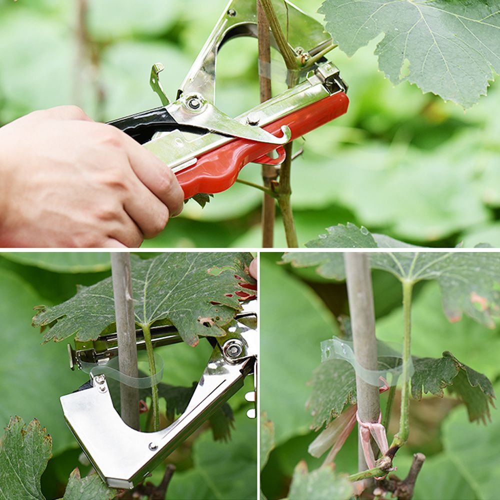 Plant Branch Stapler Pins Secateurs Tap Tails Tapener Tying