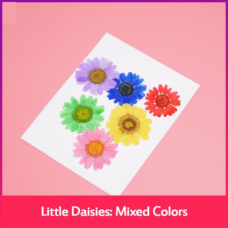 DIY Epoxy Resin Filler Filling Sticker Crafts Daisy Decoration Small Colorful