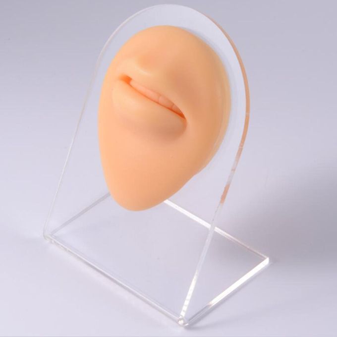 2x Human Body Part Model Silicone Modeling Texture Free Of Bubbles For