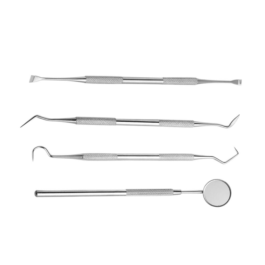 Lots 4 Oral Teeth Tartar Plaque Scraper Remover Cleaner Scaler Tools