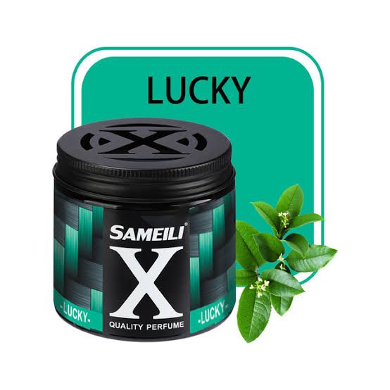 Sameili Car And Home Perfume Air Freshener Air Fragrance Indoor Deodorantl