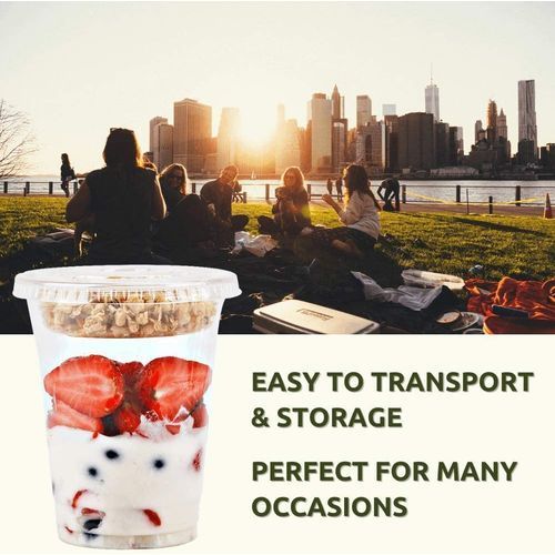 12 Oz Clear Plastic Parfait Cups With Insert 3.25oz & Flat
