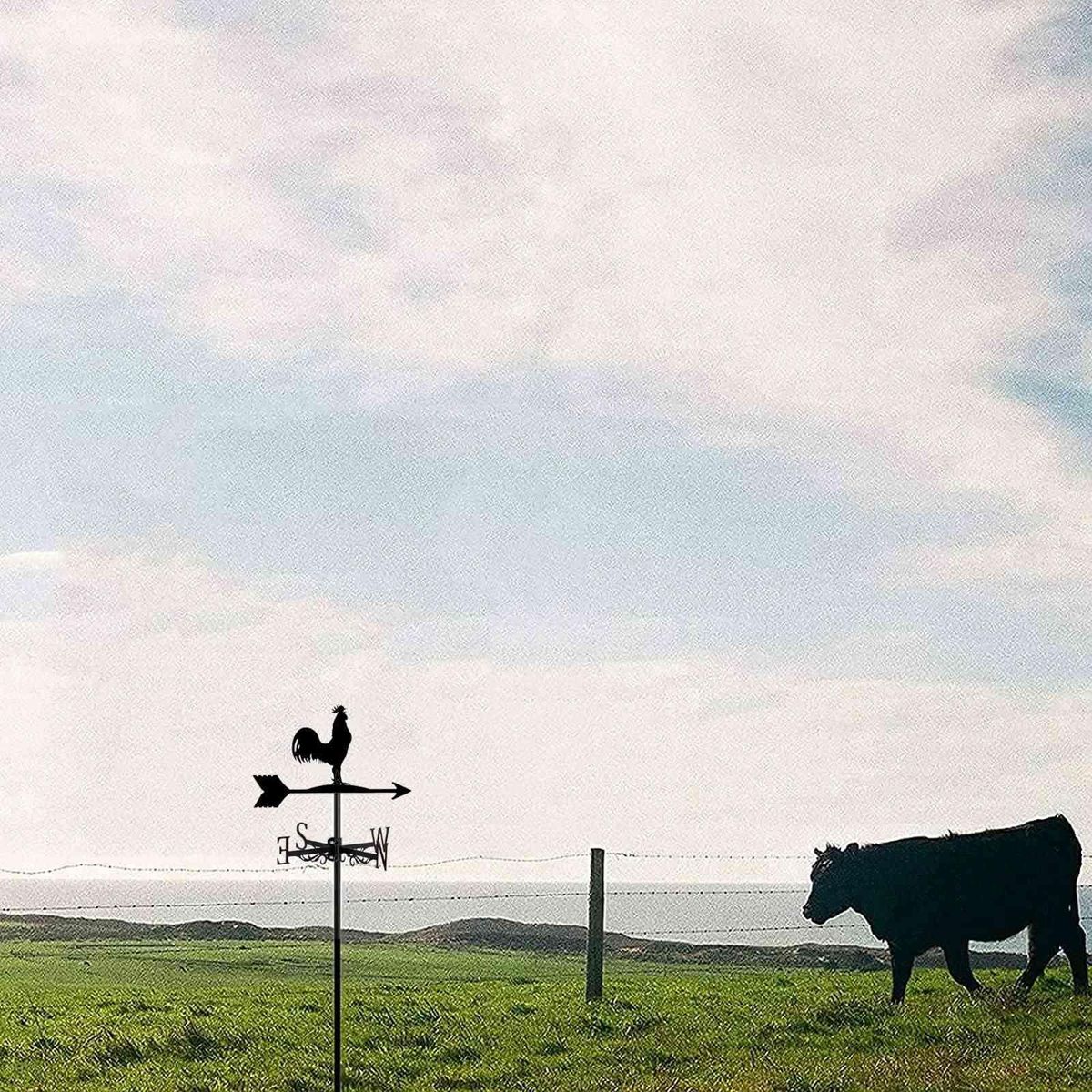 Weathervane with Animal Chickens Stake Weather Vane Wind
