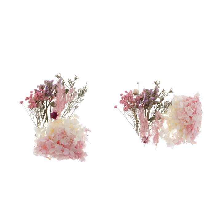 2 Pack Natural Real Dried Pressed Leaves Flowers For