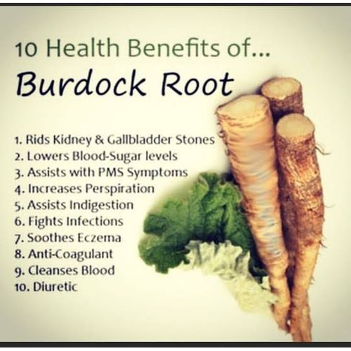 Burdock Root Powder - 100g