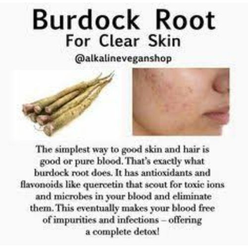 Burdock Root Powder - 100g