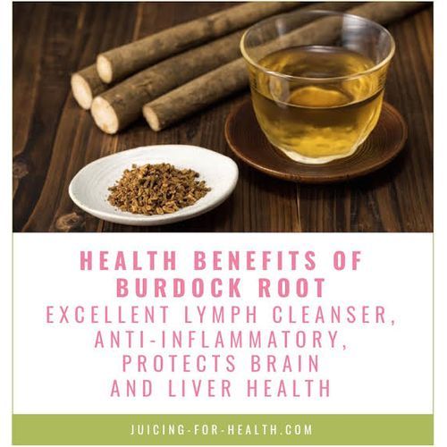 Burdock Root Powder - 100g