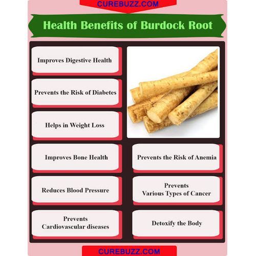 Burdock Root Powder - 100g