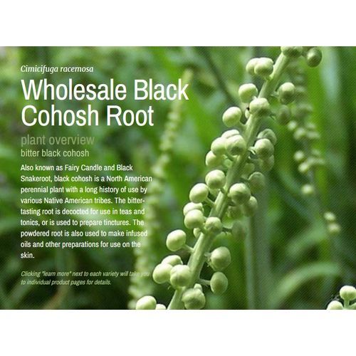Black Cohosh Root Powder Wild Craft  454 Grams