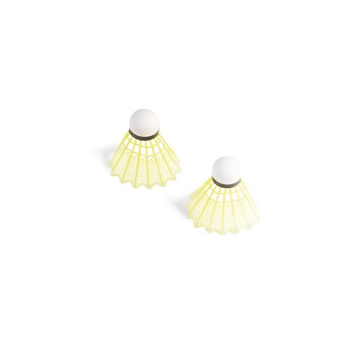 Badminton Set With Net