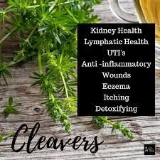 Organic Cleavers Herbs -100g