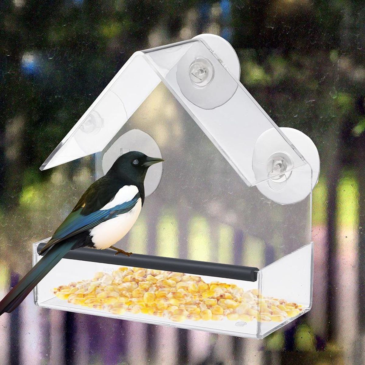 Strong Suction Cup Bird Feeder View Bird Feeder Easy-clean Acrylic Clear