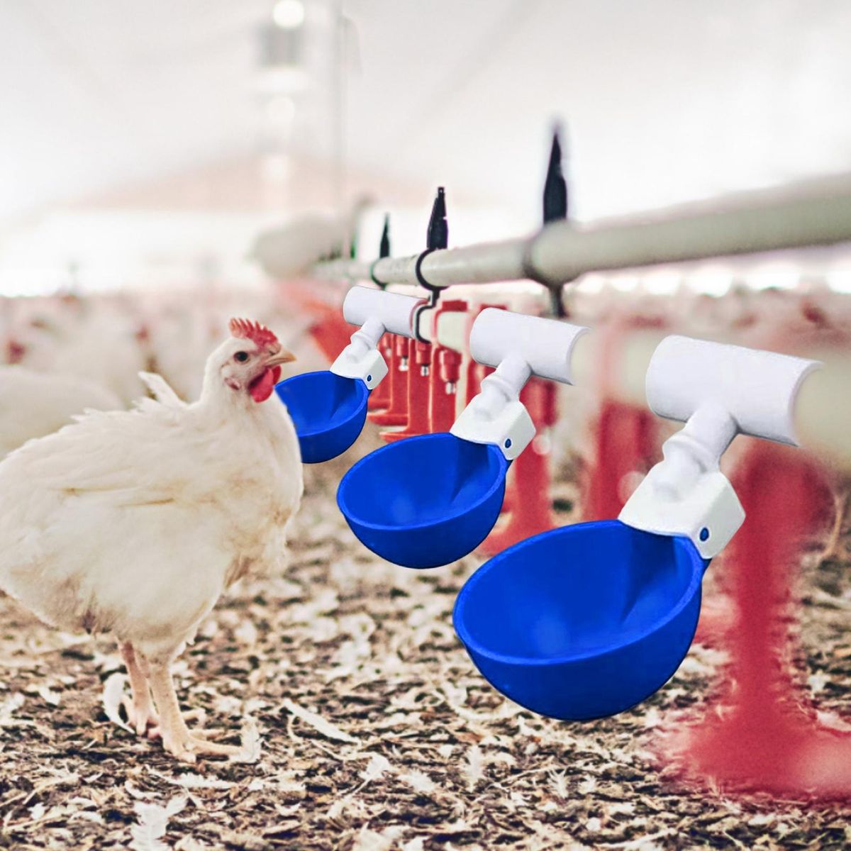 5Pcs Chicken Waterer Large Automatic Chicken Waterer Cup Blue