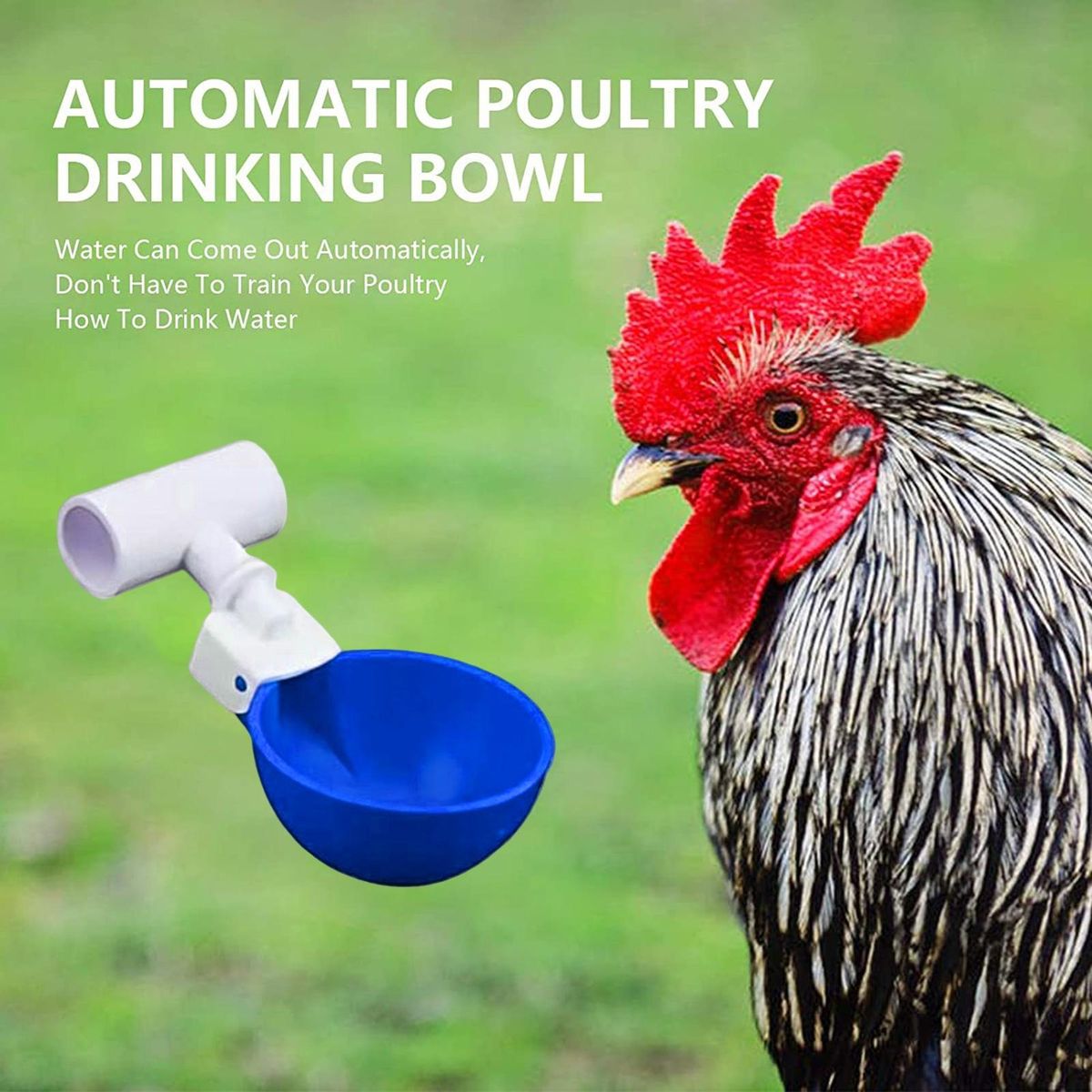 5Pcs Chicken Waterer Large Automatic Chicken Waterer Cup Blue