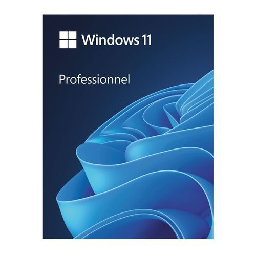 Windows 11 Professional License Key-1 User