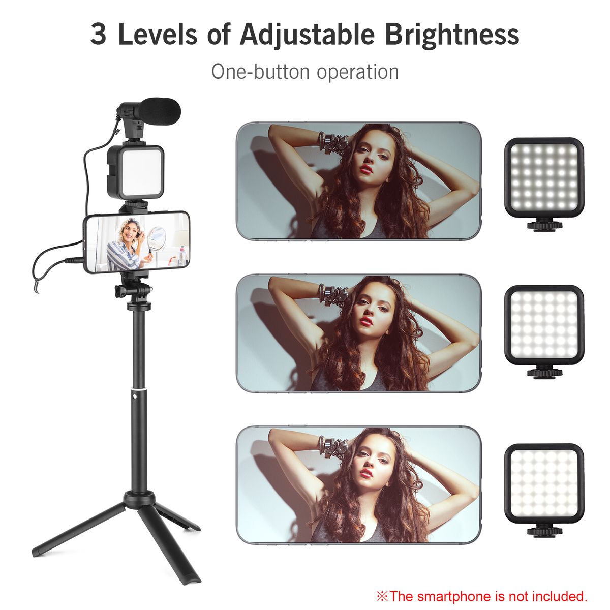Vlog Shooting Kit Mini LED Video Light + Super Cardioid