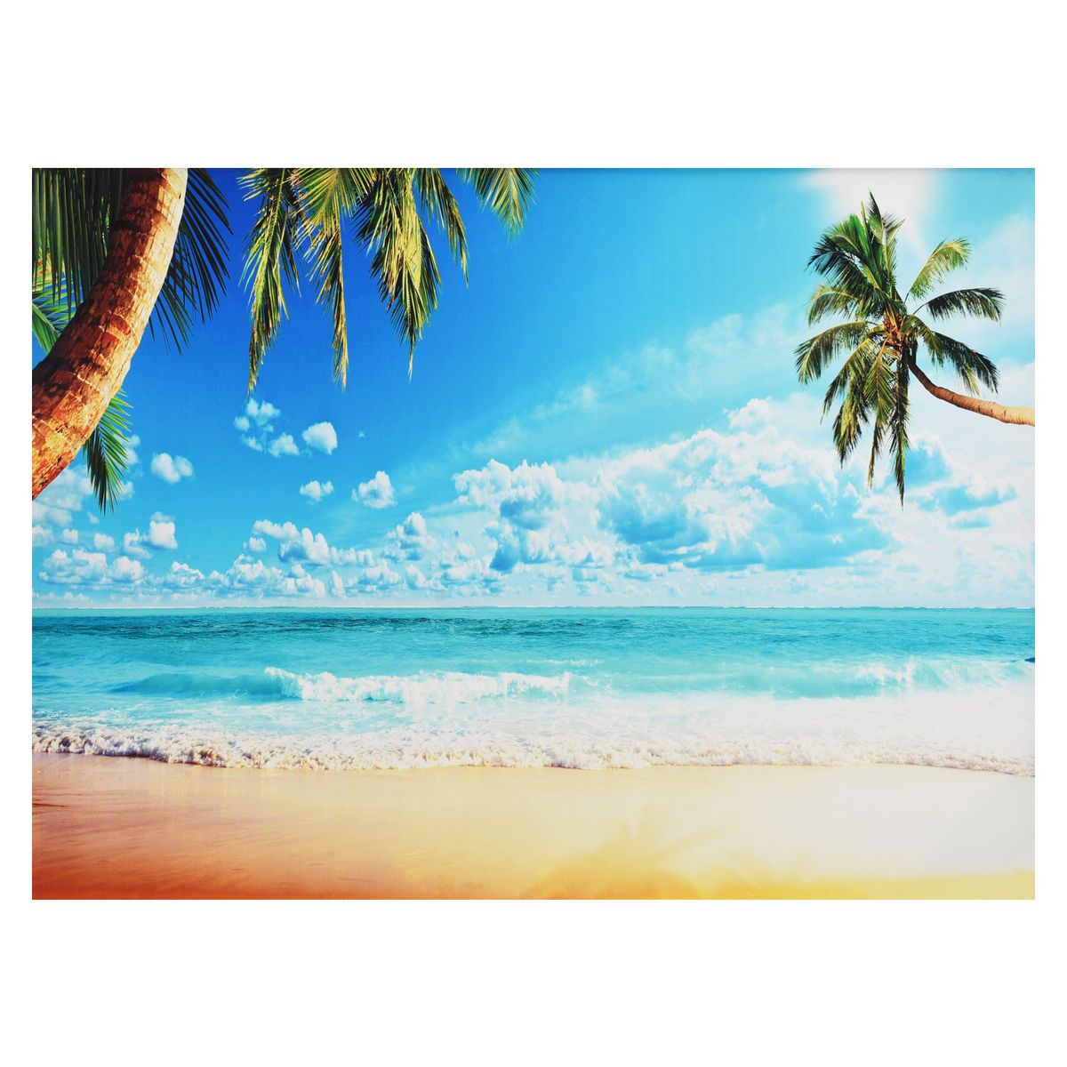 2.1 * 1.5m/ 7 * 5ft Photography Background Seascape Portrait