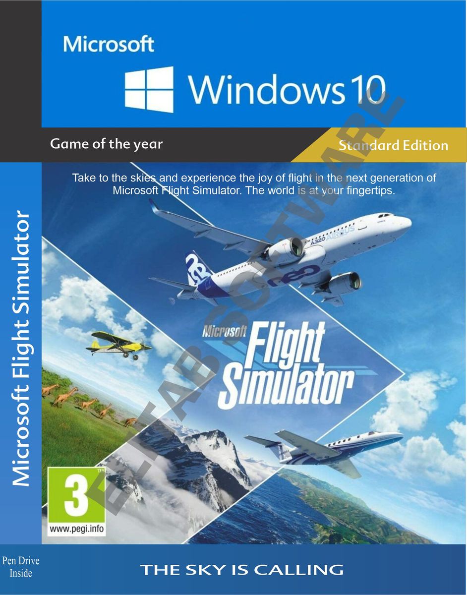 Microsoft Flight Simulator Game