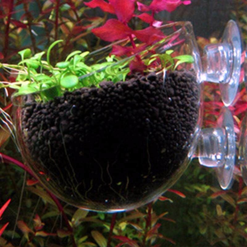 3PCS Hinterfeld Aquarium Fish Tank Glass Live Plant Cup Pot Crystal Red Shrimp Holder