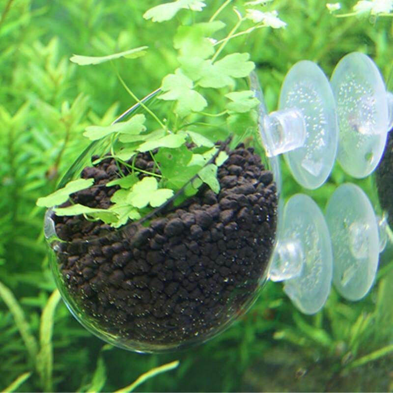 3PCS Hinterfeld Aquarium Fish Tank Glass Live Plant Cup Pot Crystal Red Shrimp Holder