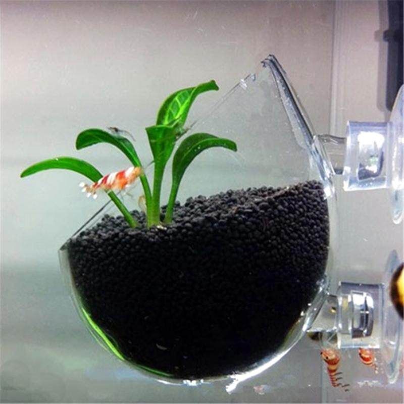3PCS Hinterfeld Aquarium Fish Tank Glass Live Plant Cup Pot Crystal Red Shrimp Holder