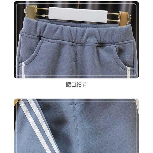 2pcs Boys' Padded And Thickened Hooded Sweatshirt Set