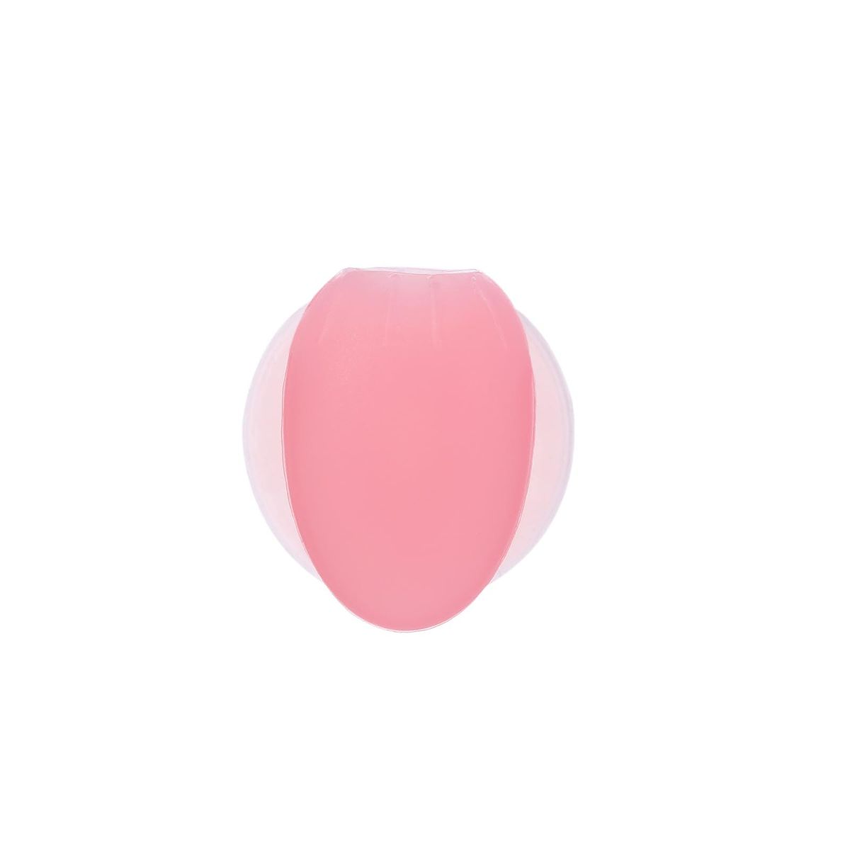 10pcs Silicone Lip Brush Set Lipstick Lip Gloss Applicator