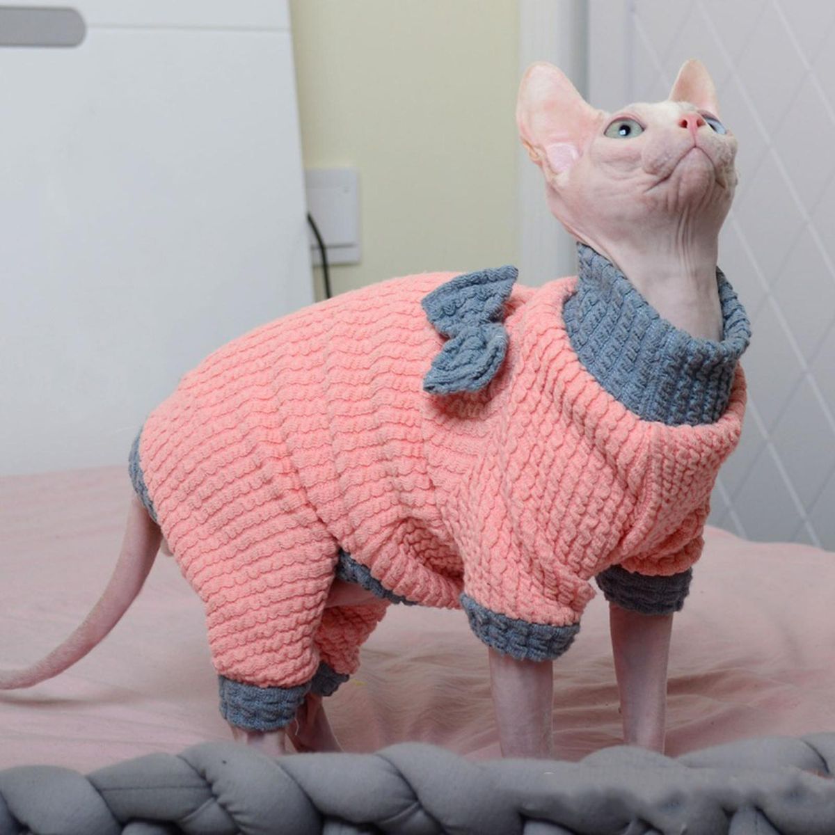 Cat Costume 4-Legged Cat Jumpsuit Clothing Decoration Pink