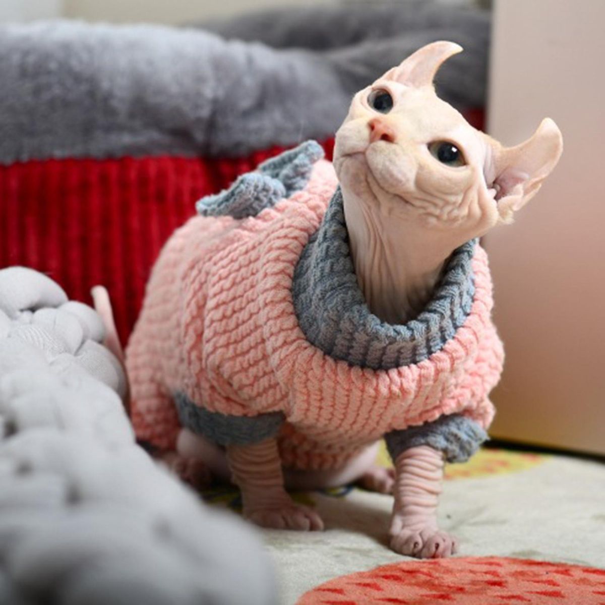 Cat Costume 4-Legged Cat Jumpsuit Clothing Decoration Pink