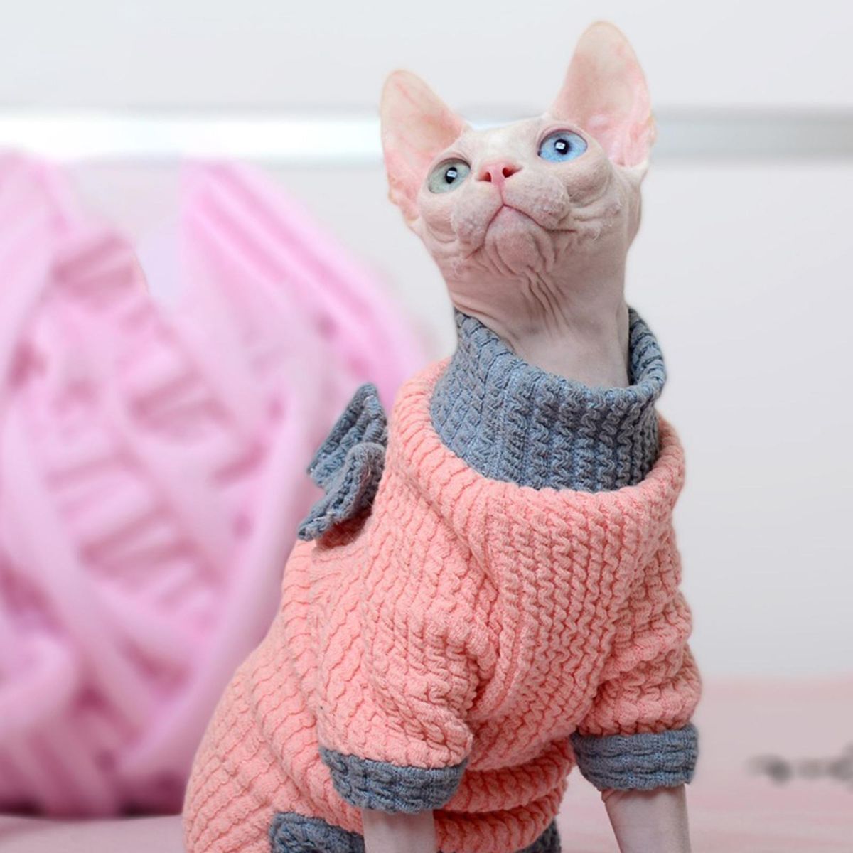 Cat Costume 4-Legged Cat Jumpsuit Clothing Decoration Pink