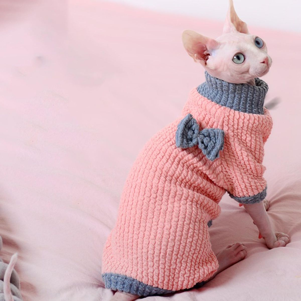 Cat Costume 4-Legged Cat Jumpsuit Clothing Decoration Pink