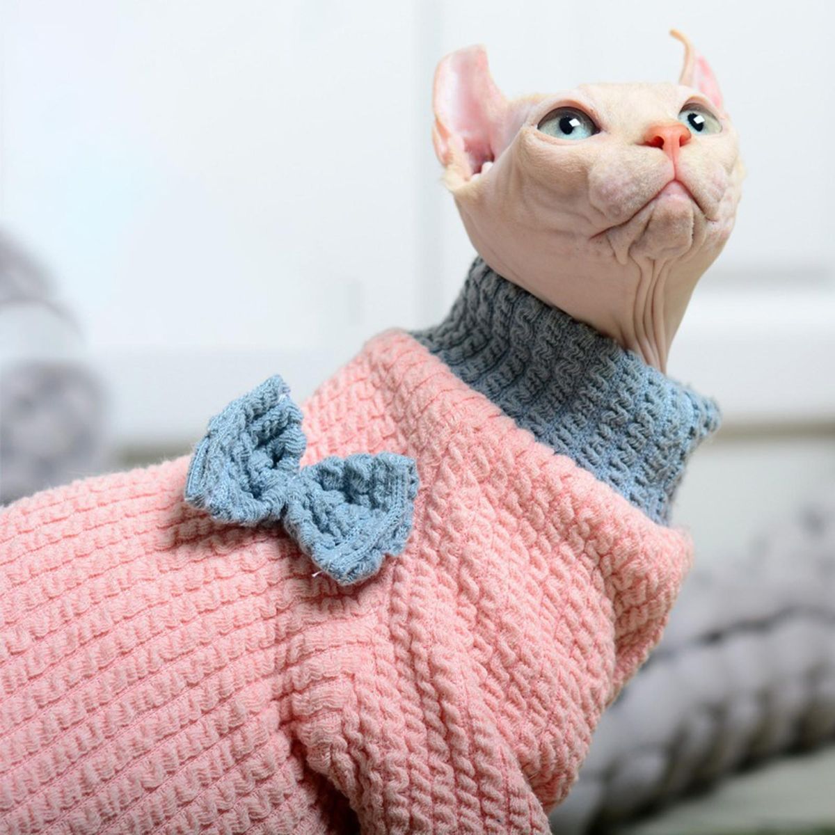 Cat Costume 4-Legged Cat Jumpsuit Clothing Decoration Pink