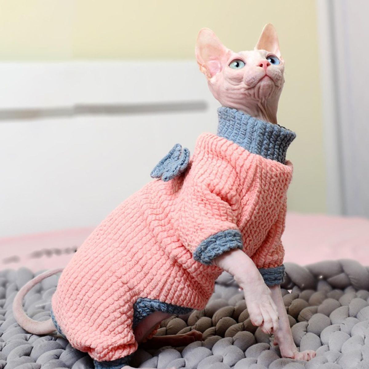 Cat Costume 4-Legged Cat Jumpsuit Clothing Decoration Pink