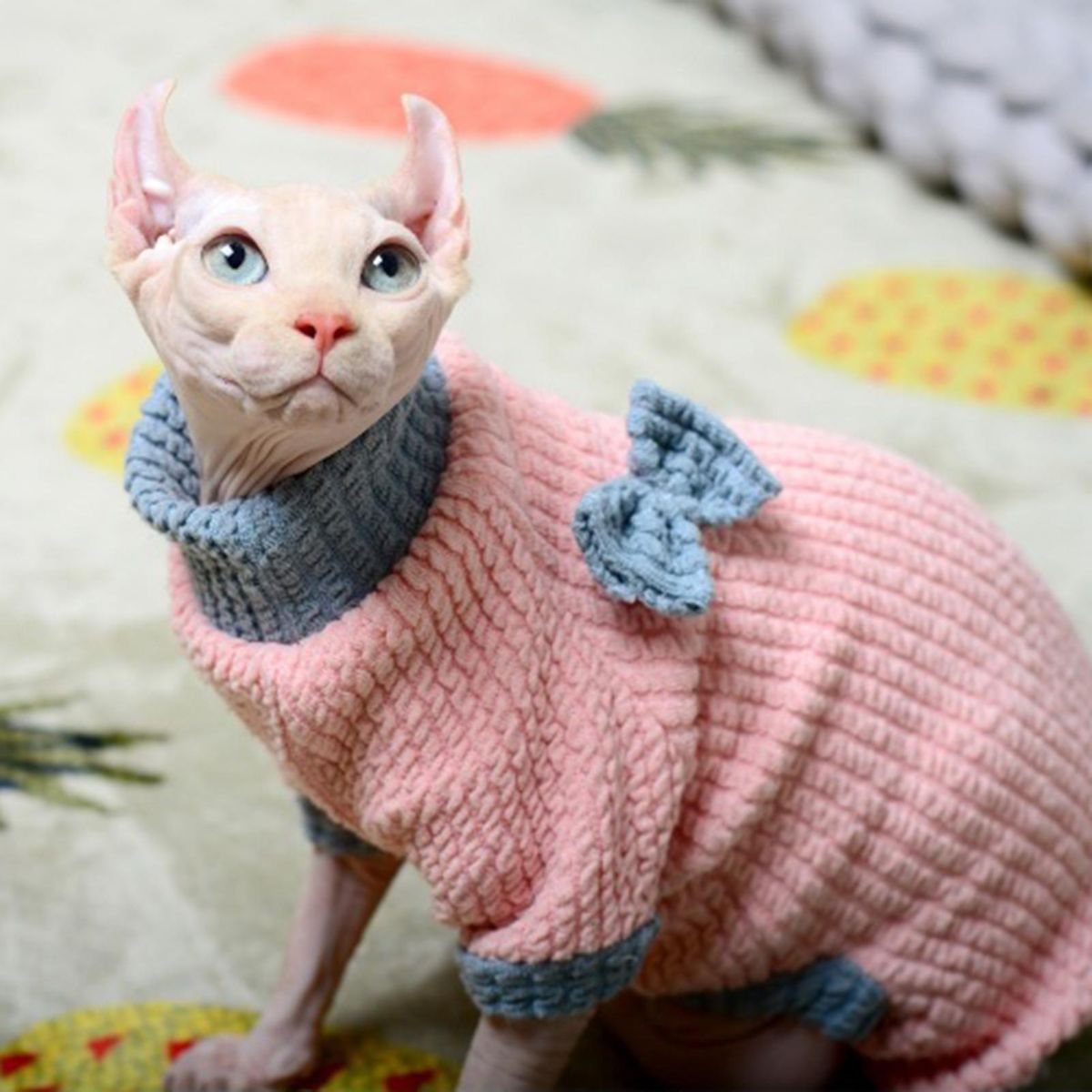 Cat Costume 4-Legged Cat Jumpsuit Clothing Decoration Pink