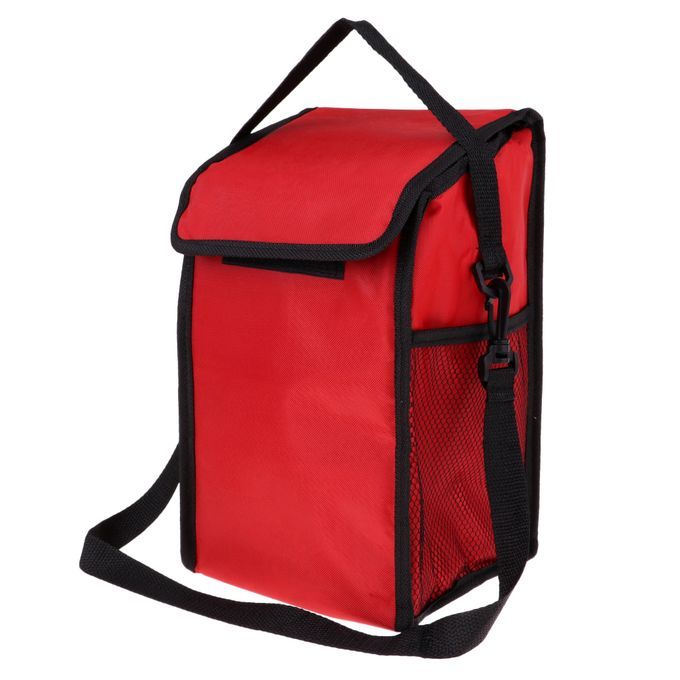 Cooler Box Insulated Lunch Container Camping Beach Lunch Picnic