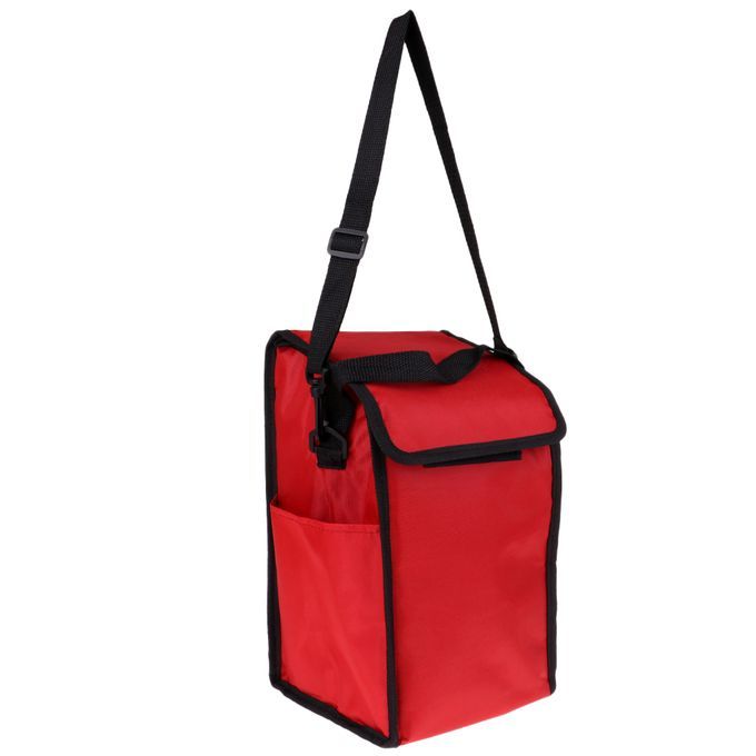 Cooler Box Insulated Lunch Container Camping Beach Lunch Picnic