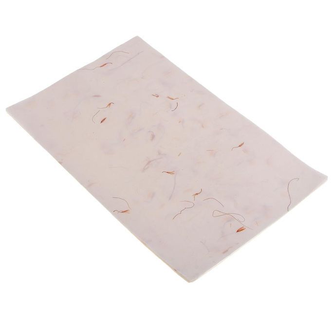 2X 10Pcs Handmade Xuan Paper Washi Paper Stationery Paper Saffron