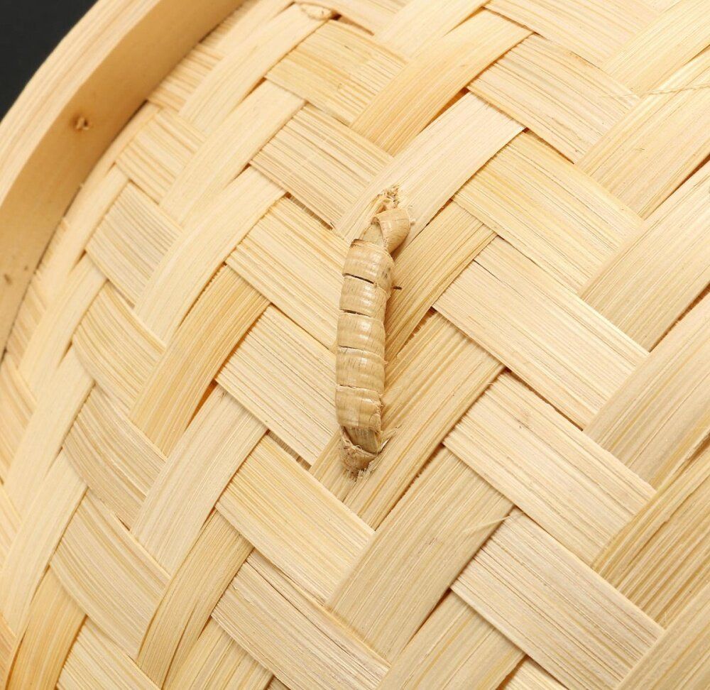 4 Pcs Set 6'' Bamboo Steamer Basket Homemade Food Rice Cooker Sum Bamboo Lid
