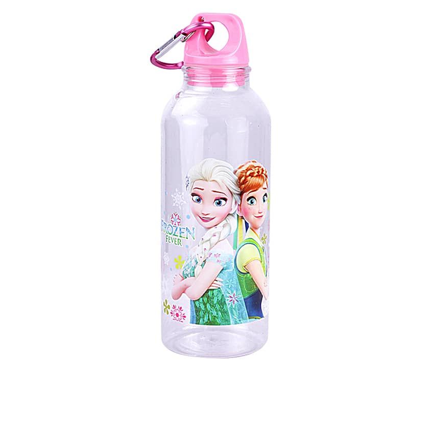 Children Frozen Back To School Water Bottle