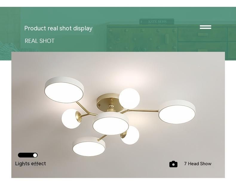 Nordic modern minimalist living room bedroom ceiling lamp