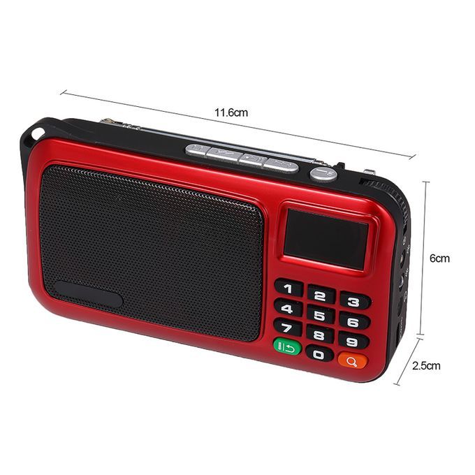 W405 FM Digital Radio Portable USB Wired Computer Speaker