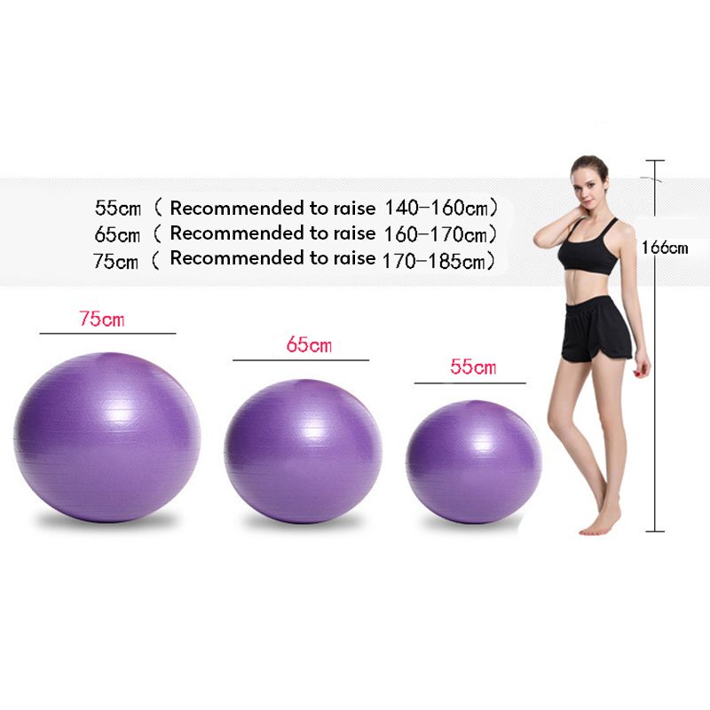 75cm Big Advanced Sports Yoga Ball + Gonfleur - Purple