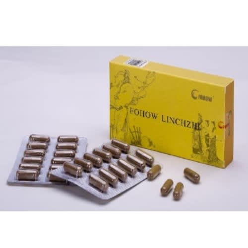 Linchzhi - Ganoderma