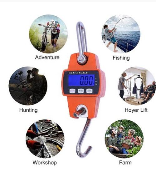 300kg 50g Portable Hook Hang Scale Weight Crane Scale