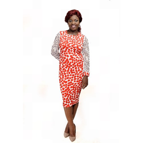 Bodycon Dress With Net Sleeve