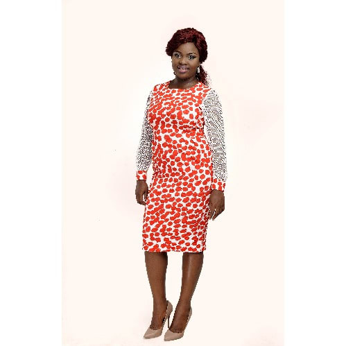 Bodycon Dress With Net Sleeve