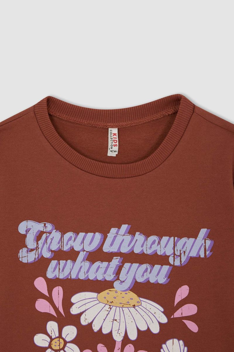 Girl Knitted Regular Fit Crew Neck Sweat Shirt - Brown